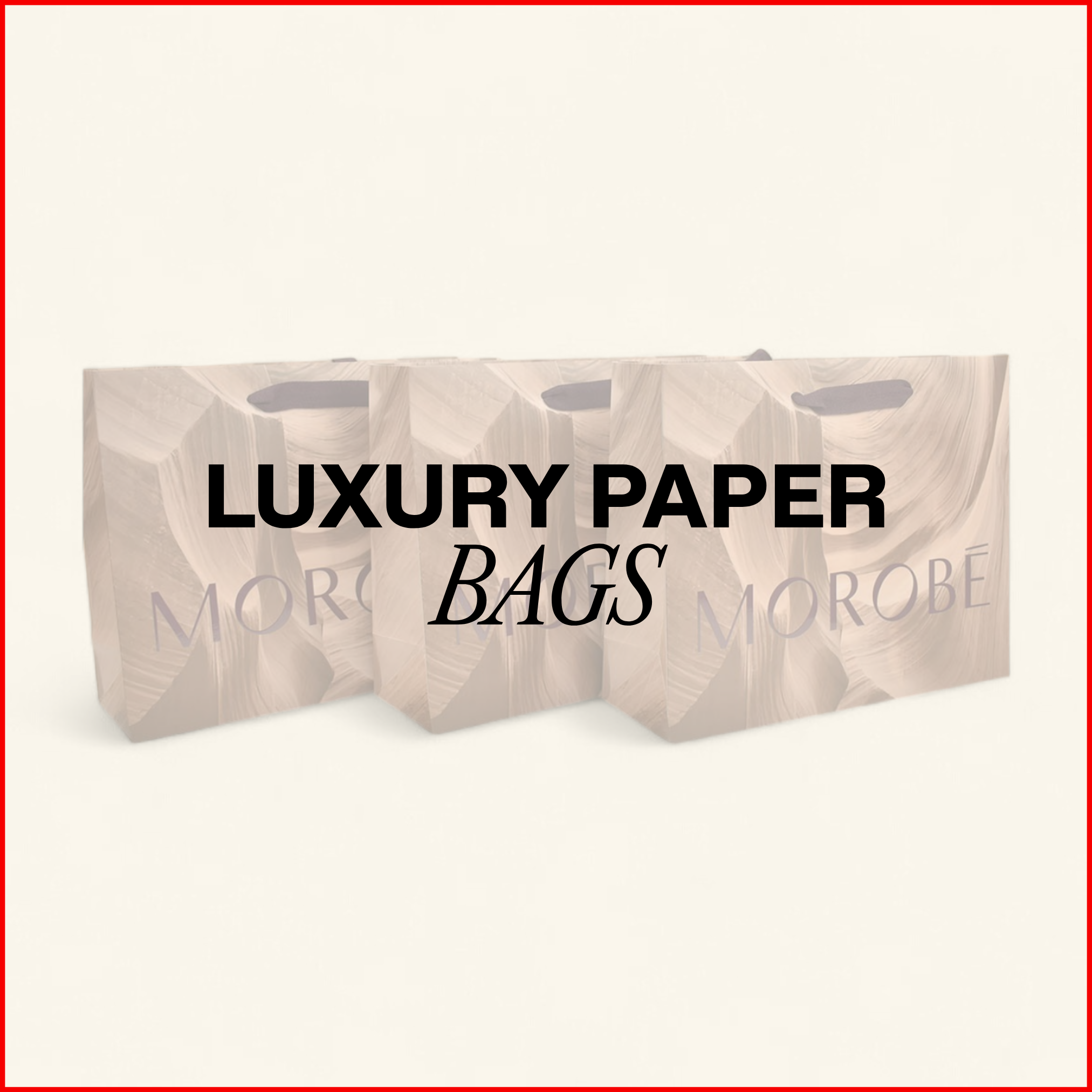 LUXE PAPIER DRAAGTASSEN (2)