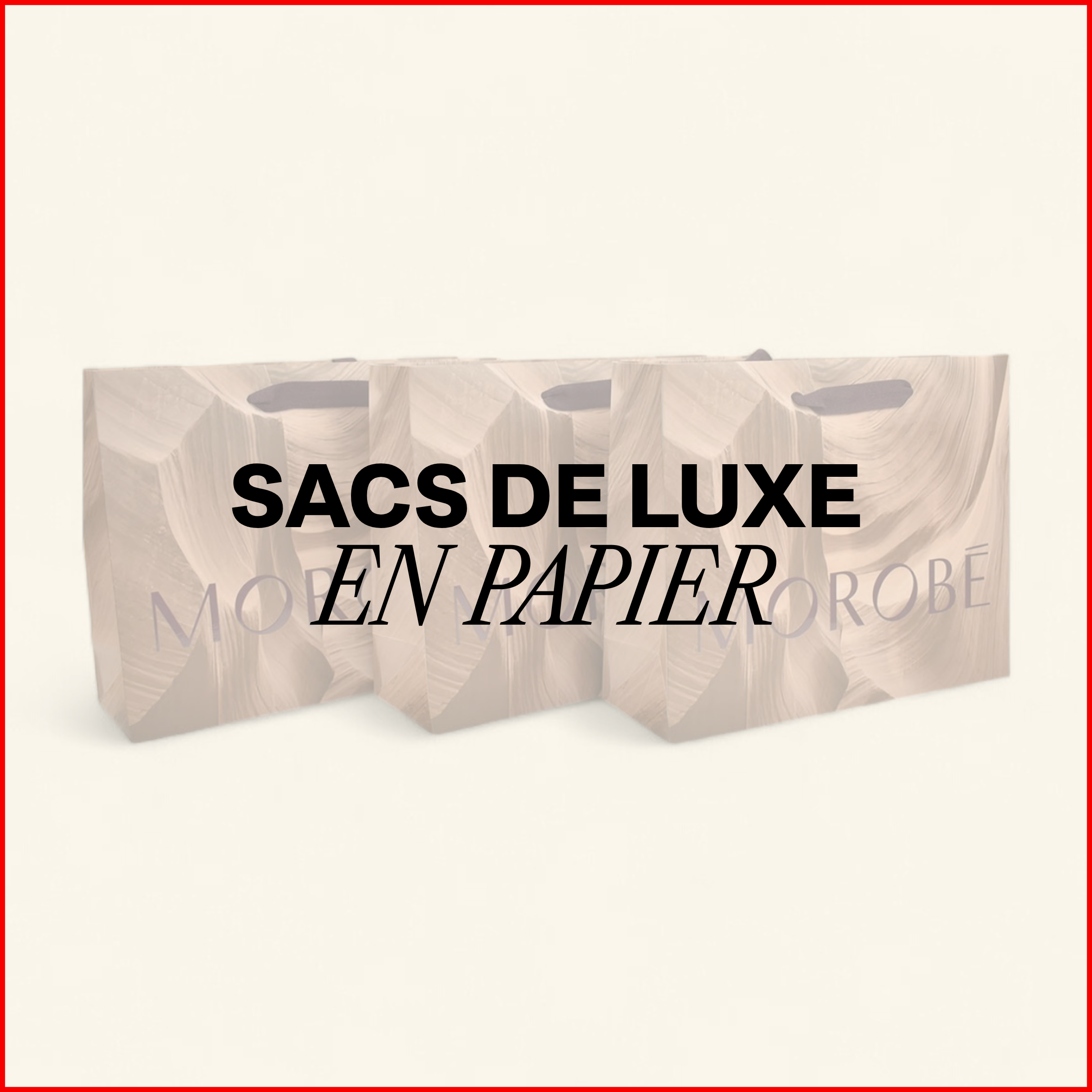 LUXE PAPIER DRAAGTASSEN-2
